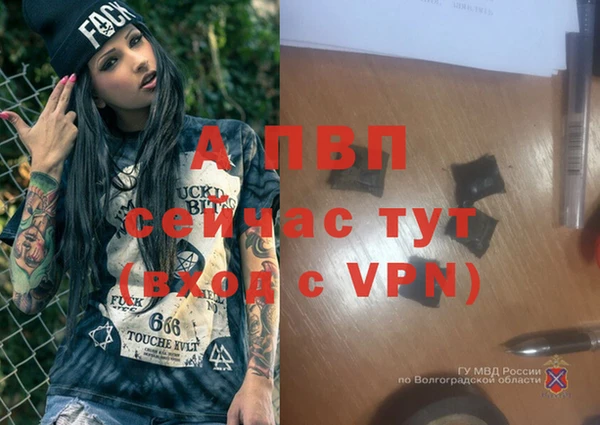 МДПВ Карпинск