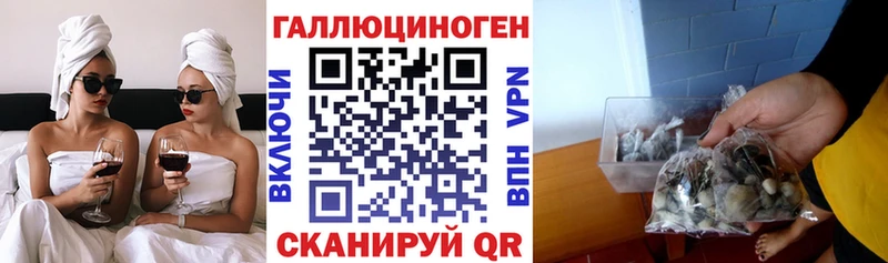 закладка Краснозаводск Псилоцибиновые грибы Magic Shrooms