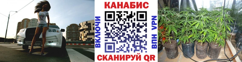 MEGA ТОР  Краснозаводск  Канабис Amnesia 